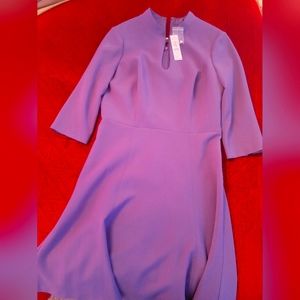 NWT WHBM Purple Dress